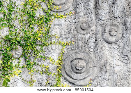 Summer background. Green leaves on tree bark. Nature background
