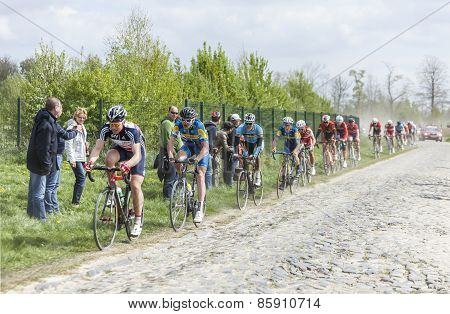 The Peloton On A Cobblestoned Road
