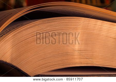 The Book In Library.