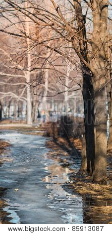 Spring Motive In The City