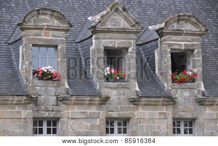 Floral Windows