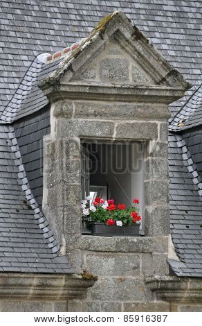 Floral Window