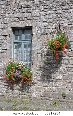 Floral Window