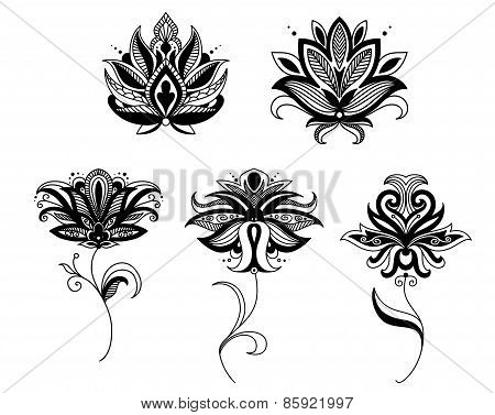 Indian and persian paisley flowers