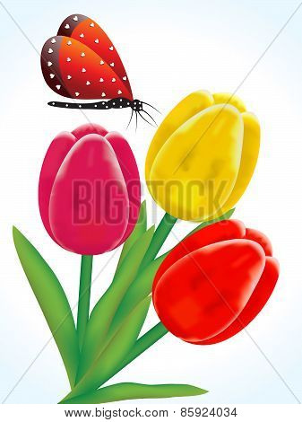 Abstract Artistic Colorful Detailed Tulip Flowers