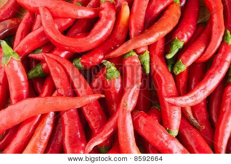 Chili peper..