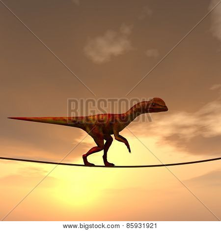 Concept or conceptual abstract business metaphor as wild heavy dinosaurus balancing on rope over sunset sky background