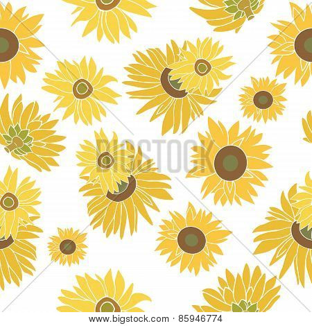 Sunflower vector seamless pattern on the white background