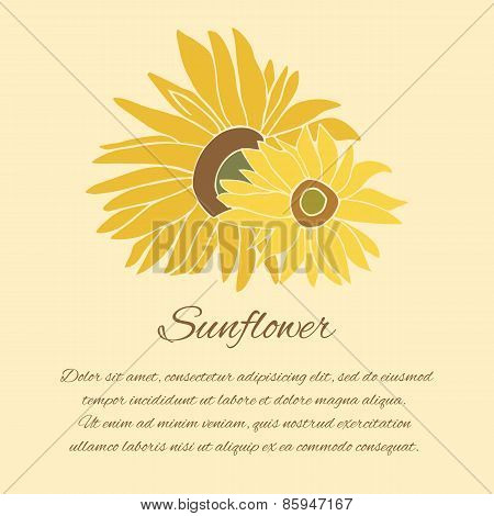 Sunflower vector greeting card on the bright background