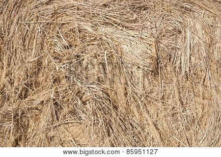 Hay background