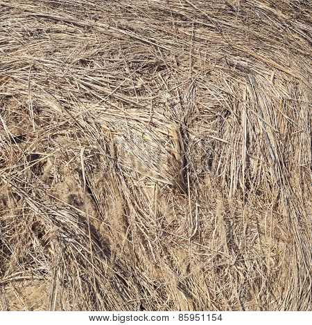Hay background