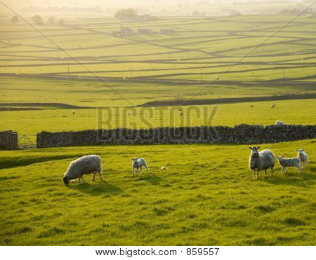 England Derbyshire Peak District Nationalpark