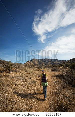 Hiker Rear View