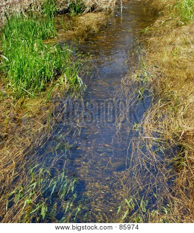 Cours d'eau de printemps