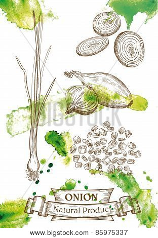 Green onion