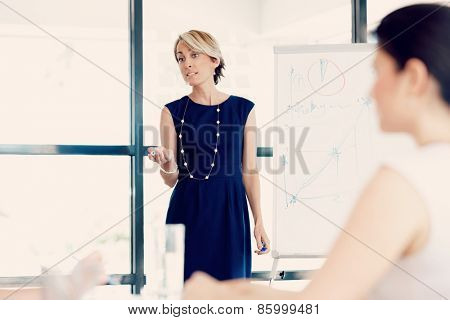 Businesswoman doing a presentaion in front of her collegues