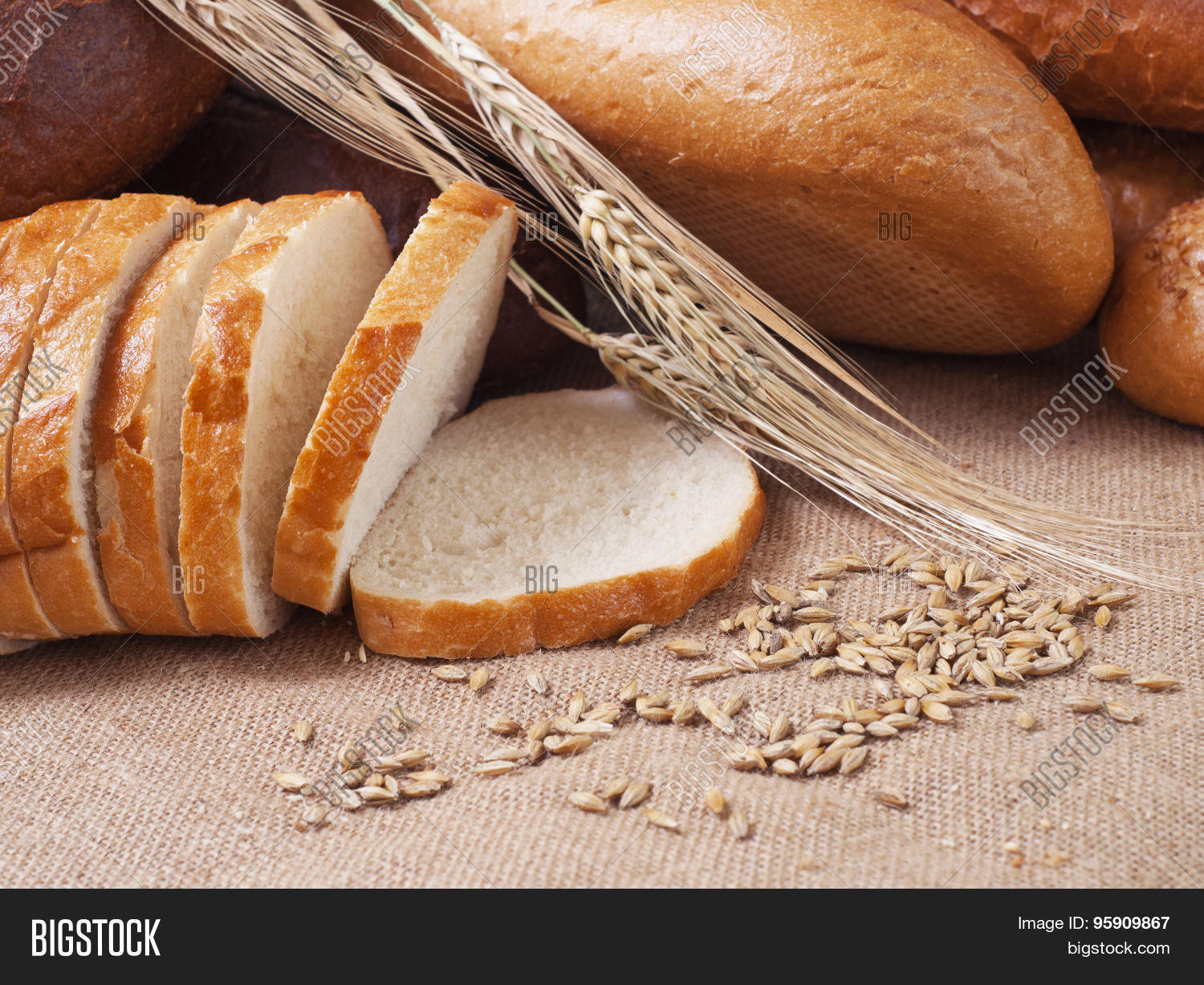 Image Preview