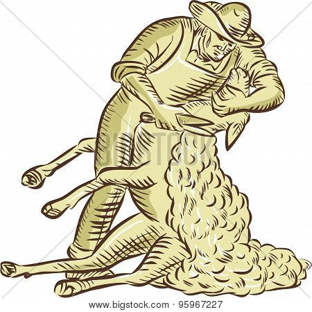 Farmworker Shearing Sheep Etching
