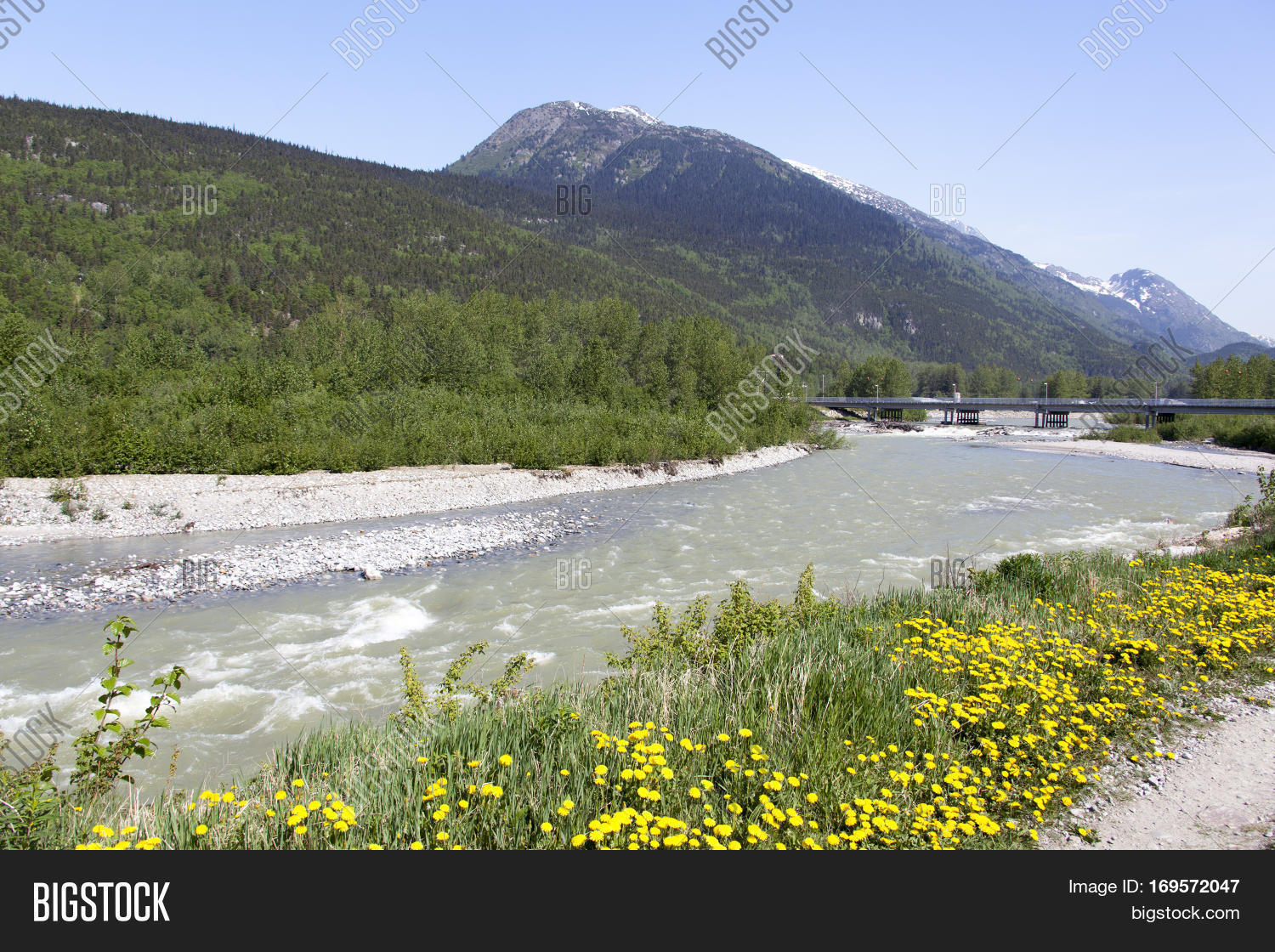 View Skagway River Image & Photo (Free Trial) Bigstock