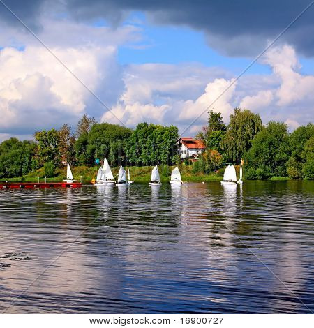 sailfishes ขนาดเล็กในแม่น้ำ