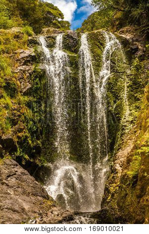 beautiful water fall in forest, new zealand, waipu, piroa falls