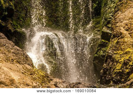 beautiful water fall in forest, new zealand, waipu, piroa falls