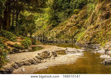 beautiful water fall in forest, new zealand, waipu, piroa falls