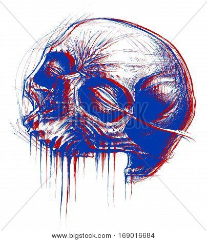 Skull drawing line work in conceptual 3D. Vector for use.