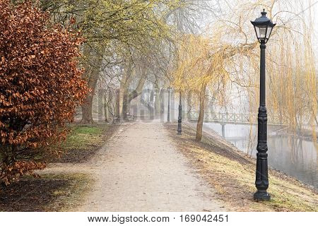 Beautiful morning light and fog in public park
