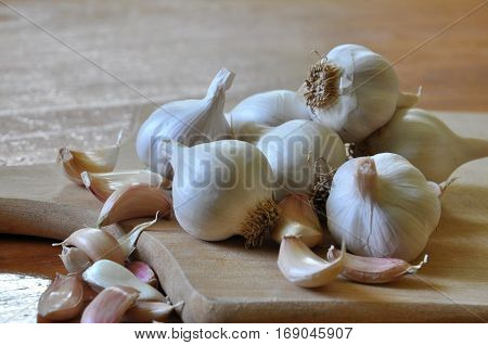 Garlic Cloves and Garlic Bulb on wooden board ready for cutting. Healthiest fresh vegetables