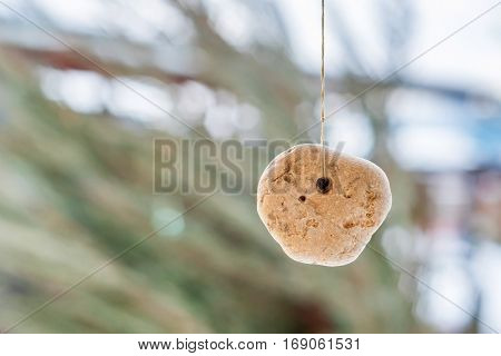 Famous pagan apotropaic amulet hanging adder stone