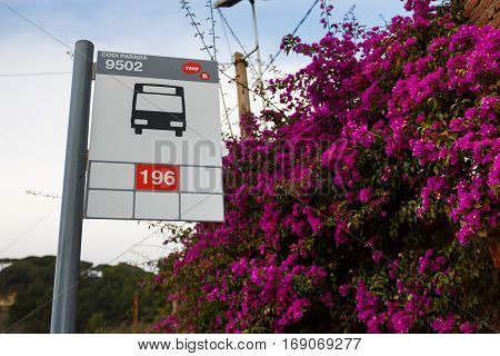 Barcelona Spain - January 03 2017: 196 Bus stop sign on the way to mount Tibidabo on the background wall flowers