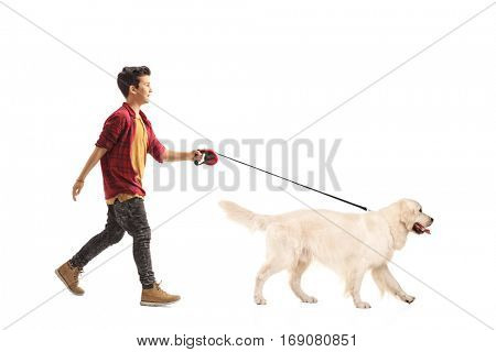 Full length portrait of a little boy walking a dog isolated on white background