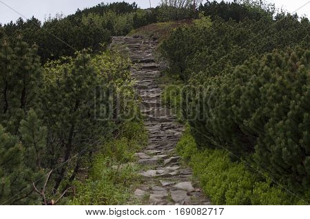 Hiking trail in mountain - Beskidy in Poland