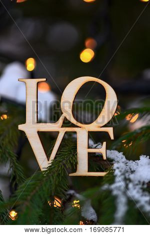 Wooden Word Love On Branches