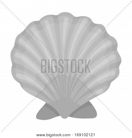 Prehistoric seashell icon in monochrome design isolated on white background. Dinosaurs and prehistoric symbol stock vector illustration.