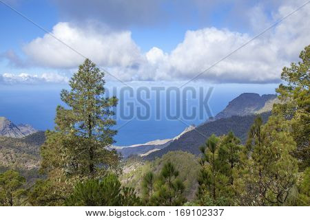 Central Gran Canaria In January