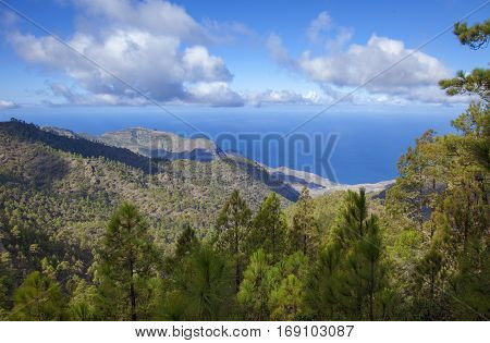 Central Gran Canaria In January
