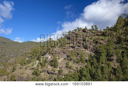 Central Gran Canaria