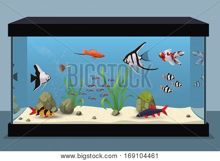 Freshwater aquarium illustration containing different kinds of fishes