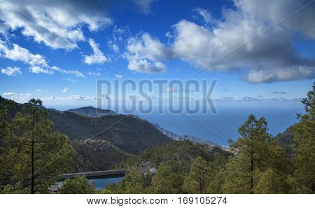 central Gran Canaria Nature Park Tamadaba canarian Pine trees on the slopes Teide on Tenerife visible over clouds