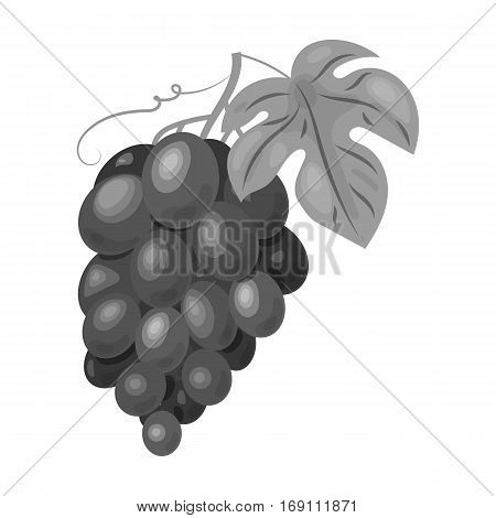 Bunch of grapes icon in monochrome design isolated on white background. Wine production symbol stock vector illustration.