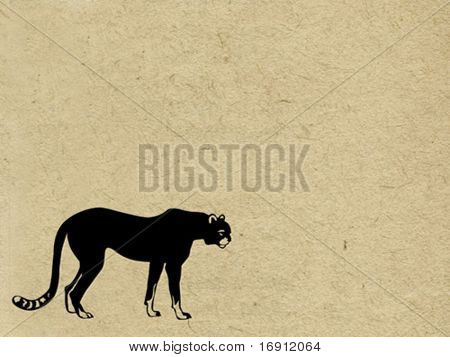 vector grunge background