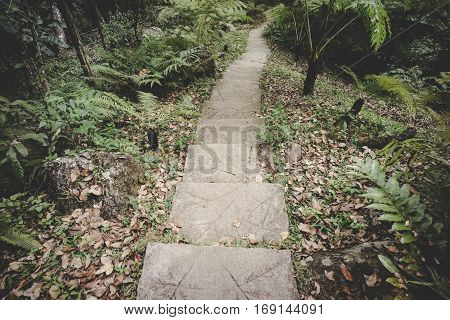 Siriphum walkway,Chiang Mai province,Thailand , vintage style