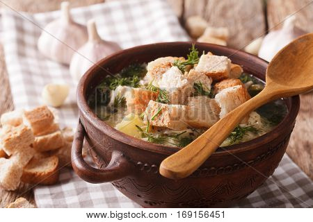 Thick Garlic Soup With Croutons Close-up In A Bowl. Horizontal