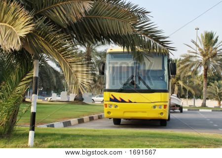 Bus