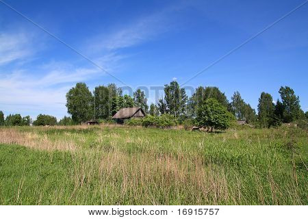 small aging village amongst tree