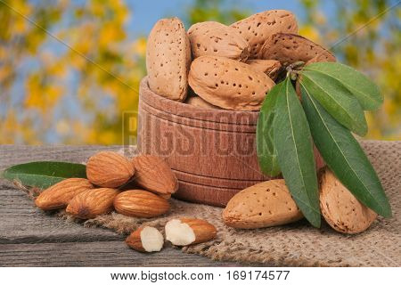 almonds with leaves in a bowl on the old wooden board with blurred garden background.