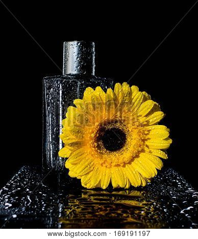 perfume and flowers cosmetic aroma fashion beauty fresh