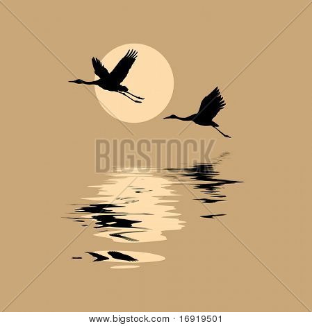 Silhouetten, die Krane auf Hintergrund Sonne fliegen
